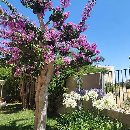 La Bouganville Apartment